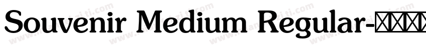 Souvenir Medium Regular字体转换